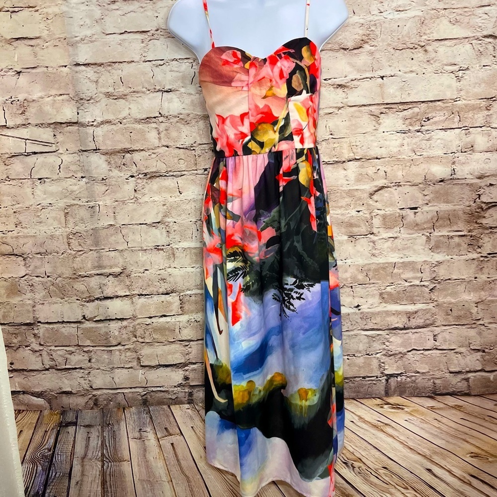 Corey Lynn Calter Watercolor Daybreak Art to Wear Midi Dress Sm